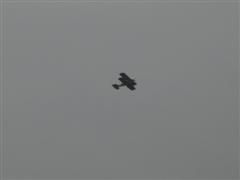 PICT2154.JPG